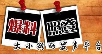 平台爆料新闻,揭秘娱乐圈最新热点事件